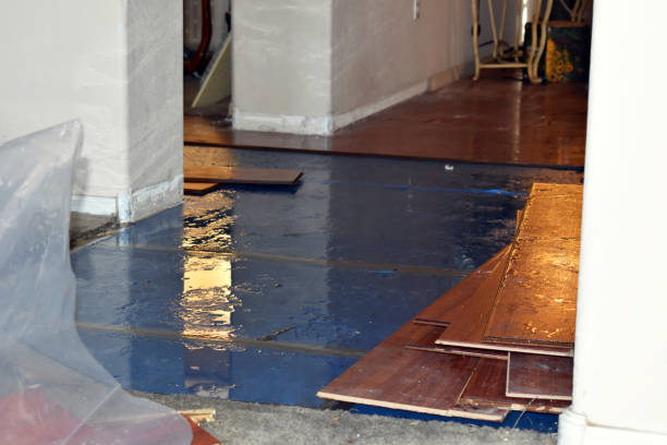 Professional Water Damage technician working in High Bridge, WA