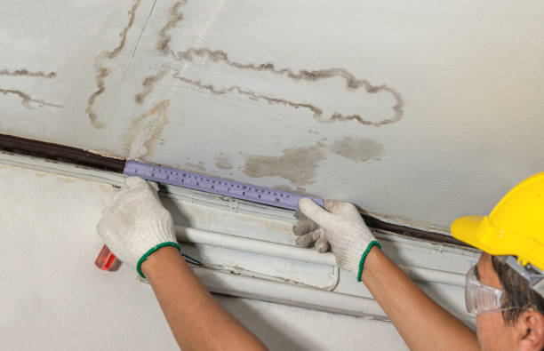 Reliable Water Damage contractor in High Bridge, WA by Water Damage Irwin